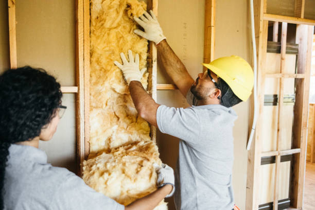 Best Insulation Replacement  in Newark, TX