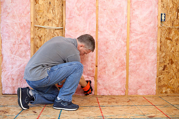 Best Blown-In Insulation  in Newark, TX